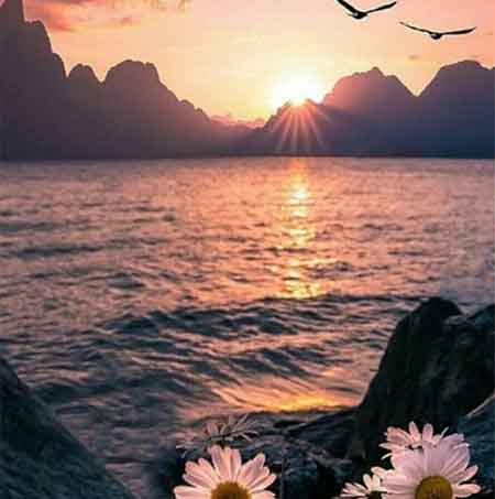 دانلود آهنگ یار حجت قائمی